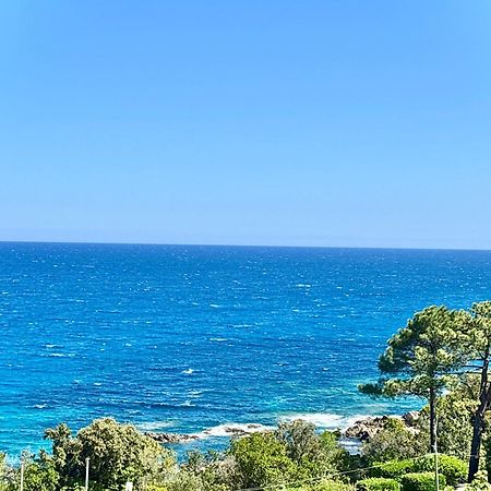 Residence Canella Sari-Solenzara Kültér fotó